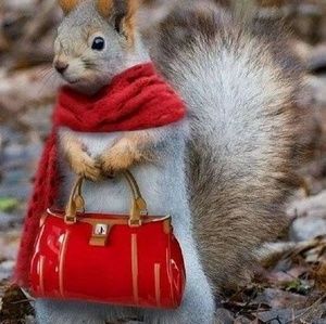 Meet your Posher, Adele